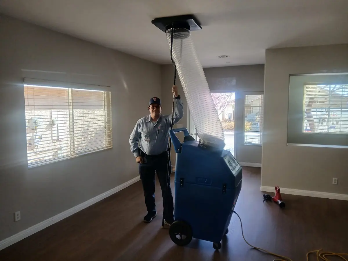 Professional Dryer Vent Cleaning work inside a Newberry home